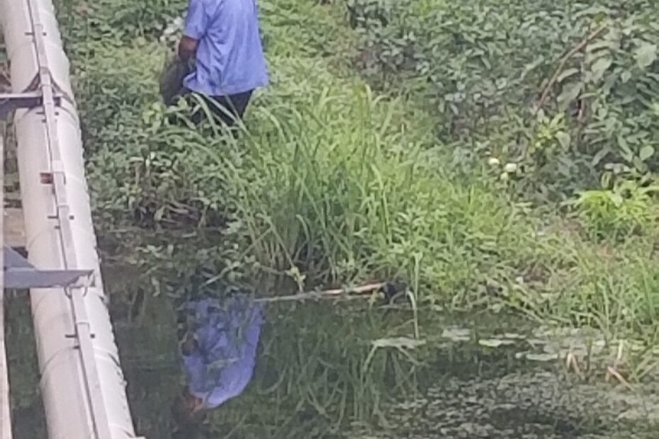 AMS365-昆山市违法捕捞举报-596