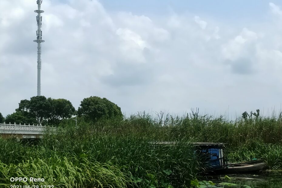 AMS365-昆山市巡河报告举报-599