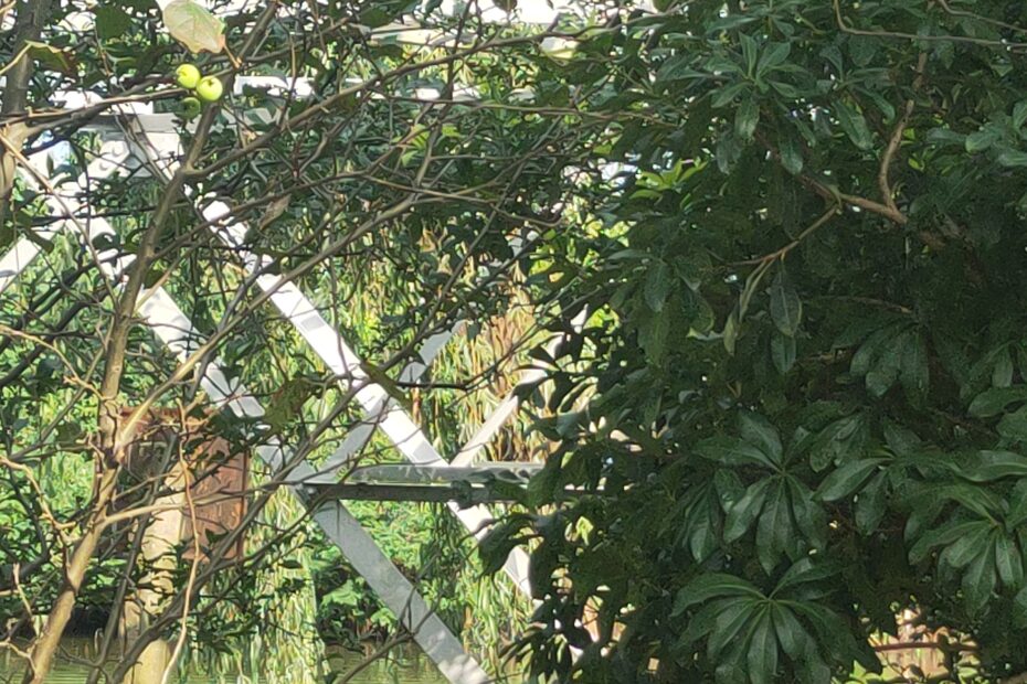 AMS365-昆山市违法捕捞举报-633